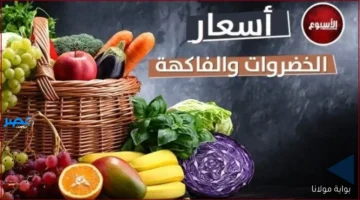 أسعار اليوم.. تعرف على التغيرات الجديدة في خضروات وفواكه مصر الأحد 5 أكتوبر 2025